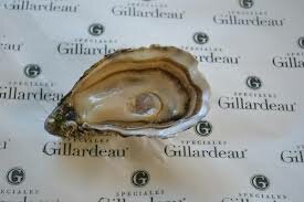 OESTERS GILLARDEAU N°3 NIET OPEN 